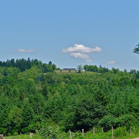 La Canopee 19 Lamazière-Basse エクステリア 写真
