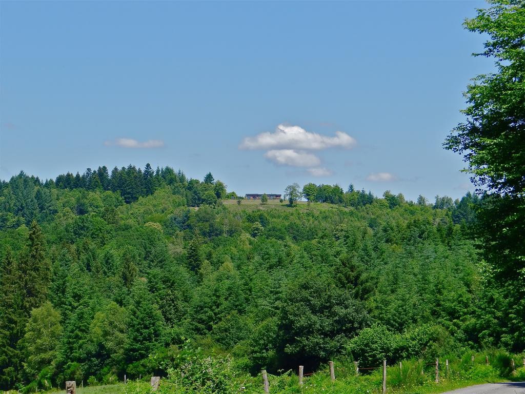 La Canopee 19 Lamazière-Basse エクステリア 写真